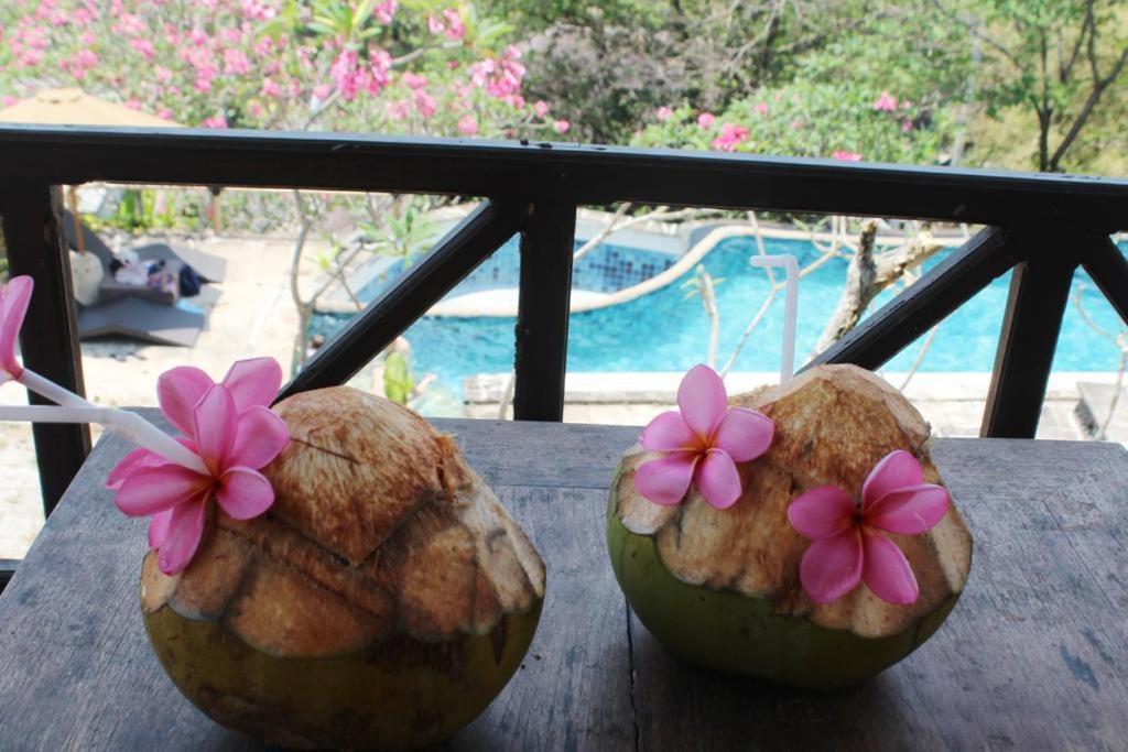 Lombok Coconut Hotel Mangsit Eksteriør billede